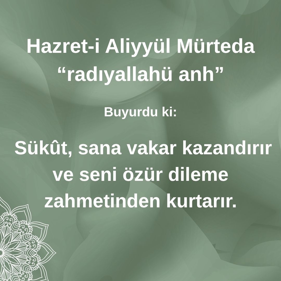 Aliyyül Mürteda (73)